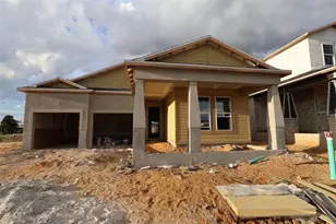 17431 Water Hemlock Rd, Winter Garden, FL 34787 - Photo 1