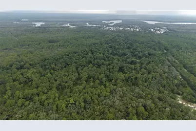 162 Carriage Place, Satsuma, FL 32189 - Photo 3