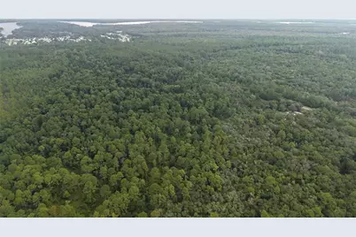 162 Carriage Place, Satsuma, FL 32189 - Photo 19