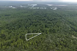 162 Carriage Pl, Satsuma, FL 32189 - Photo 1