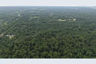 162 Carriage Place, Satsuma, FL 32189 - Photo 11