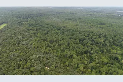 162 Carriage Place, Satsuma, FL 32189 - Photo 7