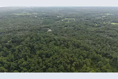 162 Carriage Place, Satsuma, FL 32189 - Photo 15