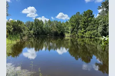 Mecca Hammock Trail, Sanford, FL 32773 - Photo 7