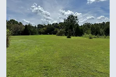 Mecca Hammock Trail, Sanford, FL 32773 - Photo 5