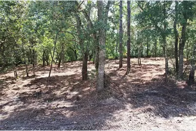 3094 E Scofield Street, Inverness, FL 34453 - Photo 7