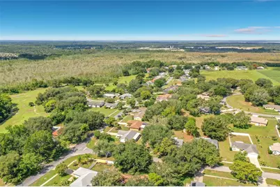 12505 Wedgefield Drive, Grand Island, FL 32735 - Photo 49