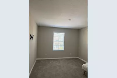 31954 Sapna Chime Drive, Wesley Chapel, FL 33545 - Photo 11