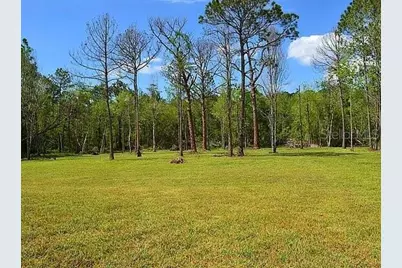 307 Country World Drive W, Davenport, FL 33897 - Photo 33
