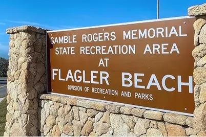 3510 S Ocean Shore Boulevard #215, Flagler Beach, FL 32136 - Photo 41