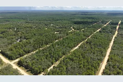 Neilsen Ave, Interlachen, FL 32148 - Photo 13