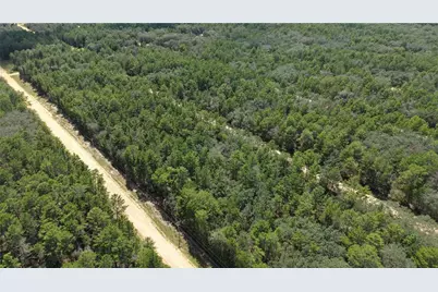 Neilsen Ave, Interlachen, FL 32148 - Photo 21