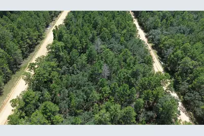 Neilsen Ave, Interlachen, FL 32148 - Photo 31