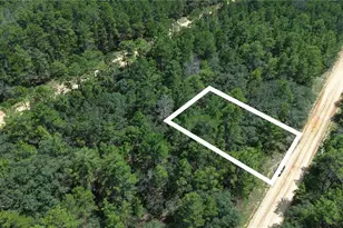 Neilsen Ave, Interlachen, FL 32148 - Photo 1