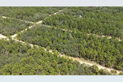 Neilsen Ave, Interlachen, FL 32148 - Photo 17