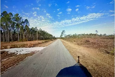 Combined Lots 3 & 4 SE Family Road, Lake City, FL 32025 - Photo 1