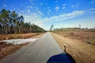 Combined Lots 3 & 4 SE Family Rd, Lake City, FL 32025 - Photo 1