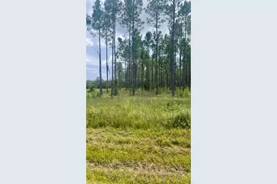 Combined Lots 3 & 4 SE Family Road, Lake City, FL 32025 - Photo 7