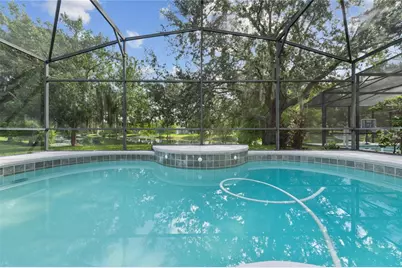 6243 Andreozzi Lane, Windermere, FL 34786 - Photo 59