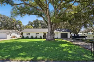27544 Lisa Dr, Tavares, FL 32778 - Photo 3