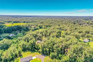 13711 SE 25th Ave, Summerfield, FL 34491 - Photo 29