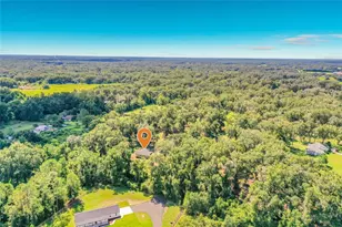 13711 SE 25th Ave, Summerfield, FL 34491 - Photo 31