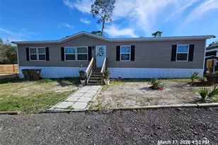 27590 Co Rd 42, Paisley, FL 32767 - Photo 1