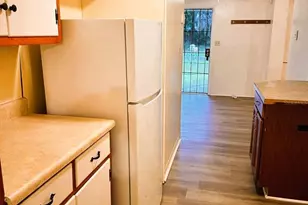 1007 Flamingo Dr, Leesburg, FL 34748 - Photo 3