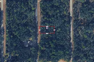 SW Algiers Ct, Dunnellon, FL 34431 - Photo 1