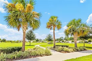 33611 Sky Blossom Cir, Leesburg, FL 34788 - Photo 29