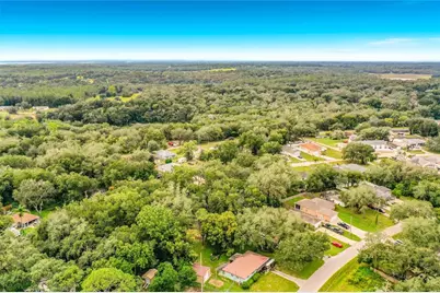 40105 Palm Street, Lady Lake, FL 32159 - Photo 51