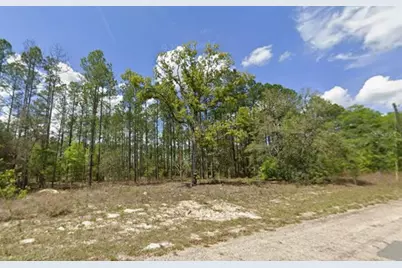 10838 N Ocean Drive, Citrus Springs, FL 34434 - Photo 1