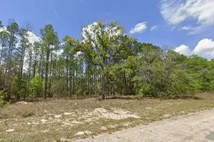 10838 N Ocean Dr, Citrus Springs, FL 34434 - Photo 1