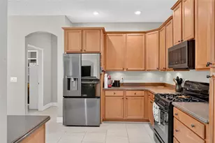 229 Blue Crystal Dr, Deland, FL 32720 - Photo 25