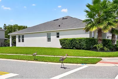 17136 Goldcrest Loop, Clermont, FL 34714 - Photo 33
