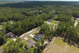 143 W Gondolier Pl, Citrus Springs, FL 34434 - Photo 3