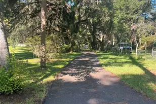 3302 Co Rd 510A, Wildwood, FL 34785 - Photo 5