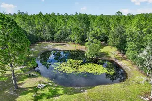 20963 E Colonial Dr, Christmas, FL 32709 - Photo 63