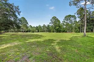 20963 E Colonial Dr, Christmas, FL 32709 - Photo 49