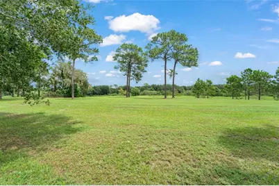 33411 Terragona Drive, Sorrento, FL 32776 - Photo 49