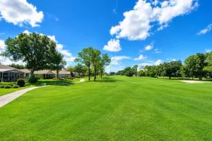9036 Laurel Ridge Dr, Mount Dora, FL 32757 - Photo 41