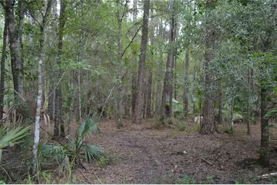 Deen Still Road W, Polk City, FL 33868 - Photo 5