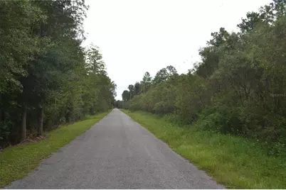 Deen Still Road W, Polk City, FL 33868 - Photo 3