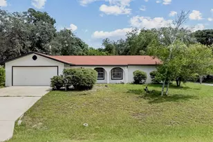 2 Blaine Tree Pl, Palm Coast, FL 32137 - Photo 1