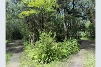 2310 Salt Creek Trail, Oviedo, FL 32765 - Photo 5