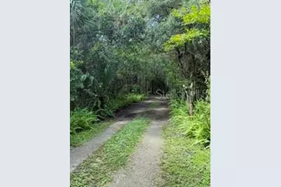 2310 Salt Creek Trail, Oviedo, FL 32765 - Photo 3