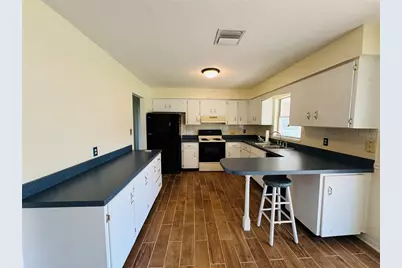 28100 Lois Drive, Tavares, FL 32778 - Photo 3