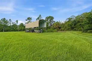 806 Bayhead Rd, Osteen, FL 32764 - Photo 25