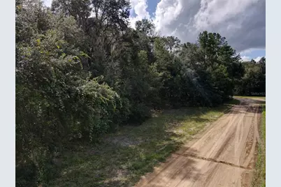 Gunner Ave Avenue, Interlachen, FL 32148 - Photo 43