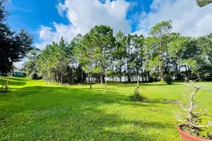 3037 Lake Jean Dr, Orlando, FL 32817 - Photo 47